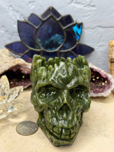 Load image into Gallery viewer, Serpentine Skull Planter
