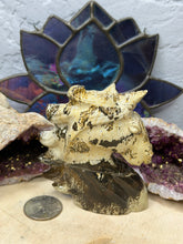 Load image into Gallery viewer, Picture Jasper Unicorn
