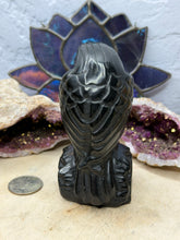 Load image into Gallery viewer, Obsidian Raven
