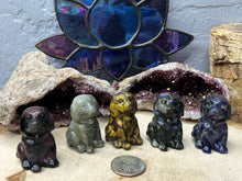 Load image into Gallery viewer, Gemstone Dogs
