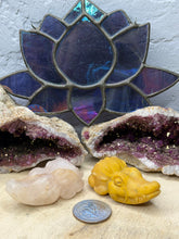 Load image into Gallery viewer, Gemstone Alligator
