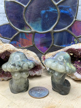 Load image into Gallery viewer, Mushroom Lady Figure
