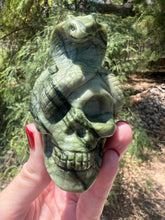 Load image into Gallery viewer, Serpentine Skull with Snake
