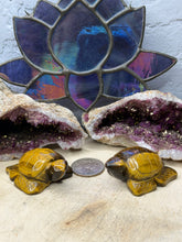 Load image into Gallery viewer, Tiger Eye Turtle
