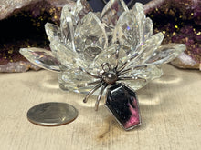 Load image into Gallery viewer, Spider with Coffin Titanium Pendant
