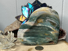 Load image into Gallery viewer, Ocean Jasper Heart Bowl
