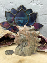 Load image into Gallery viewer, Picture Jasper Unicorn
