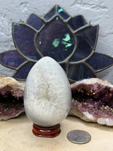 Load image into Gallery viewer, Druzy Agate Egg

