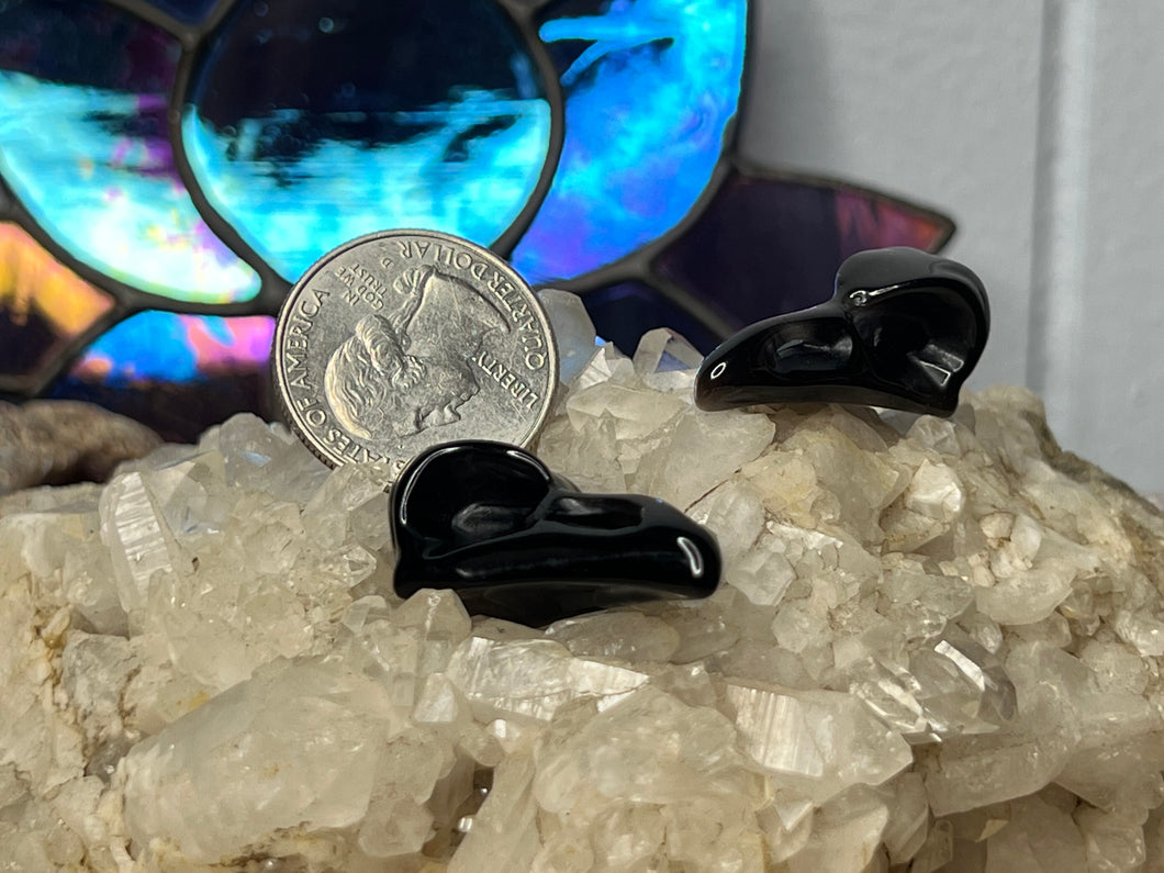 Small Obsidian and Silver Sheen Bird Skull