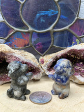 Load image into Gallery viewer, Gemstone Dogs
