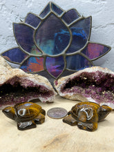 Load image into Gallery viewer, Tiger Eye Turtle
