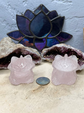 Load image into Gallery viewer, Toothless Dragon
