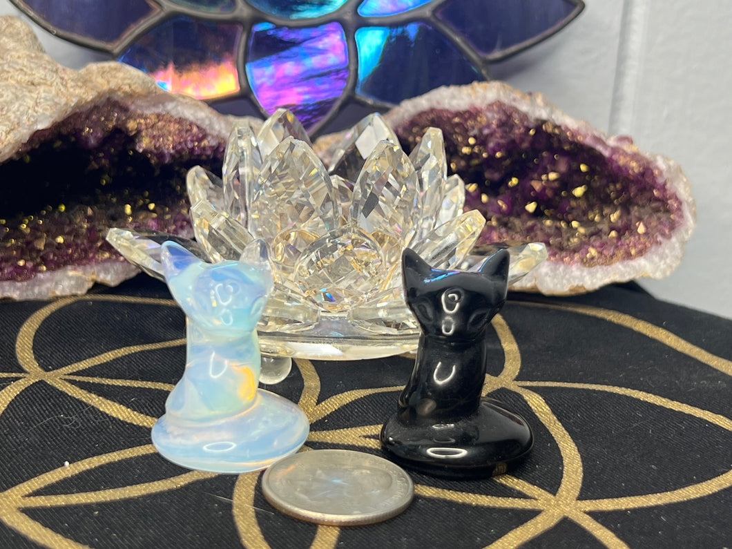 Dratini Pokemon Figures