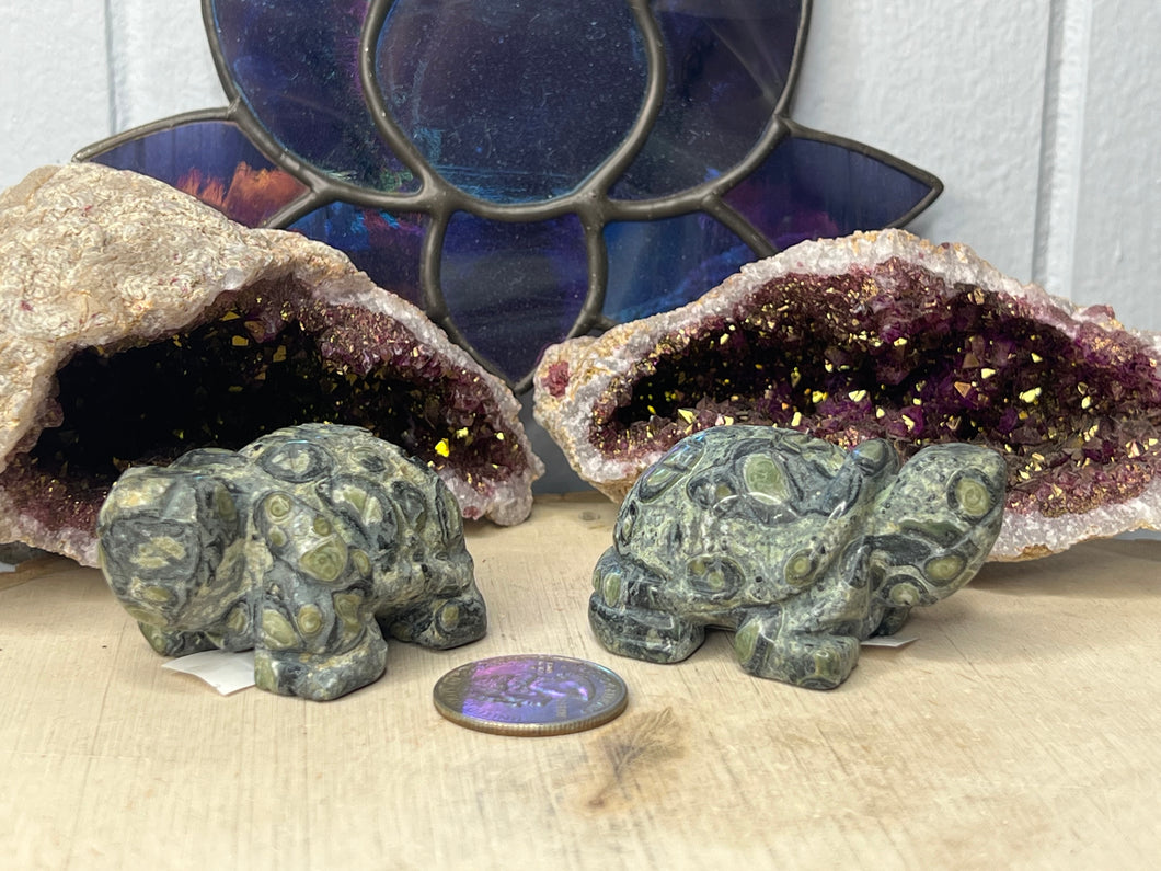 Kambaba Jasper Turtles