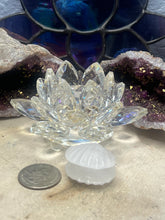 Load image into Gallery viewer, Small Shells
