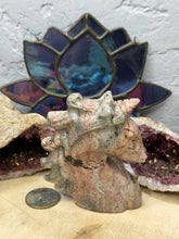 Load image into Gallery viewer, Picture Jasper Unicorn
