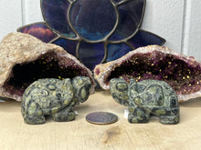 Load image into Gallery viewer, Kambaba Jasper Turtles
