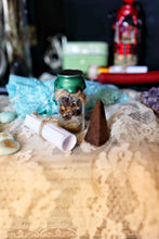 Load image into Gallery viewer, Money Mini Spell Kit
