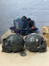 Load image into Gallery viewer, Black Crazy Lace Agate Skulls
