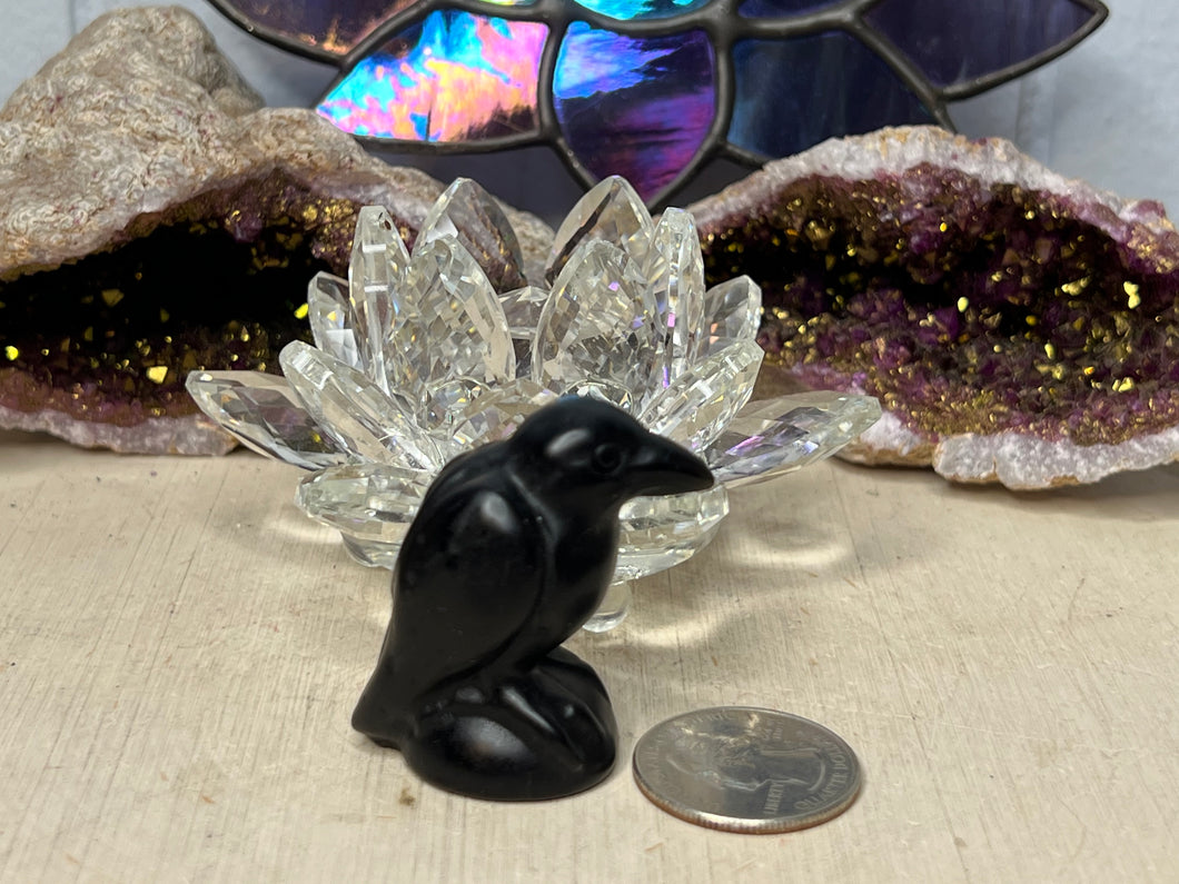 Obsidian Raven