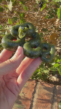 Load and play video in Gallery viewer, Serpentine Snake

