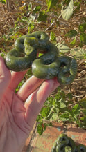 Load and play video in Gallery viewer, Serpentine Snake
