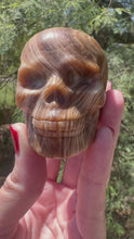 Load and play video in Gallery viewer, Chocolate Calcite Skulls
