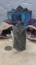 Load and play video in Gallery viewer, Black Sphalerite Towers
