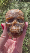 Load and play video in Gallery viewer, Chocolate Calcite Skulls
