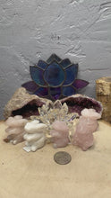 Load and play video in Gallery viewer, Rose Quartz and Jade Rabbits
