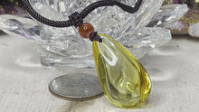 Load and play video in Gallery viewer, Insect Amber Necklace
