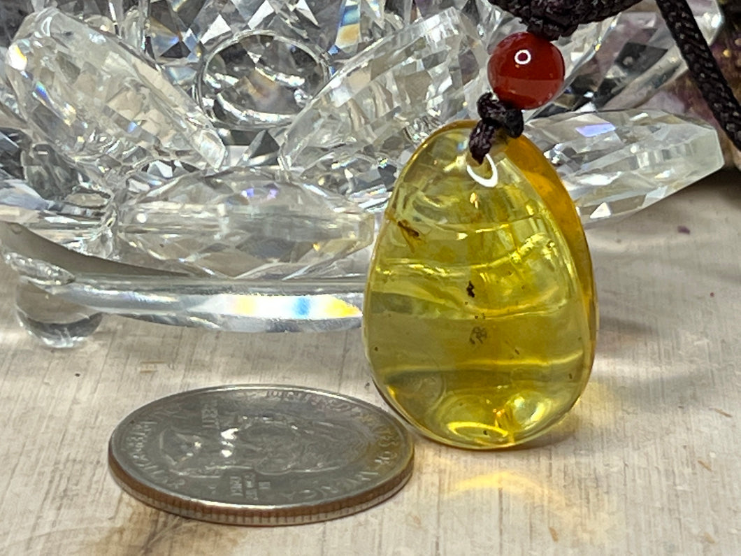 Insect Amber Necklace