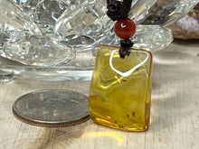 Load image into Gallery viewer, Insect Amber Necklace
