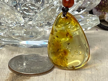 Load image into Gallery viewer, Insect Amber Necklace

